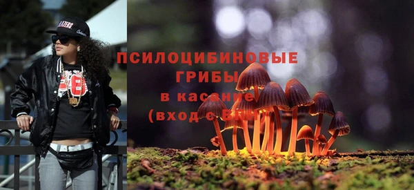 первитин Козельск