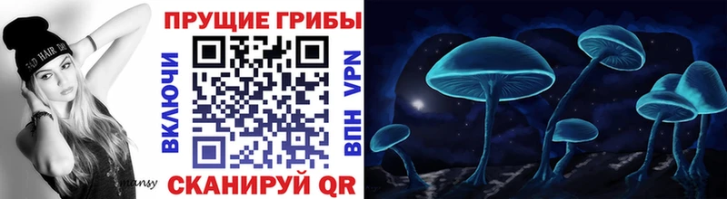 Галлюциногенные грибы Psilocybine cubensis  KRAKEN онион  Красноармейск  дарнет шоп 