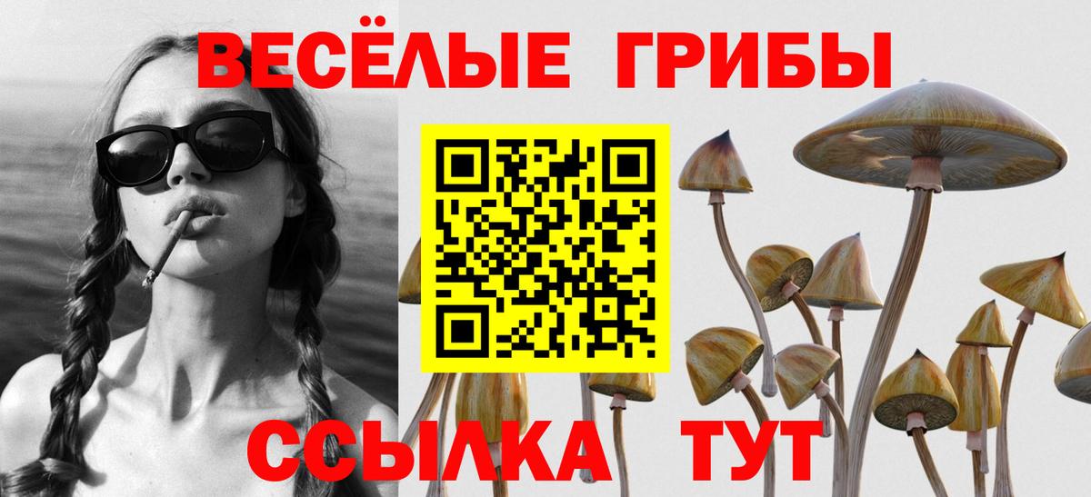 Галлюциногенные грибы прущие грибы Красноармейск
